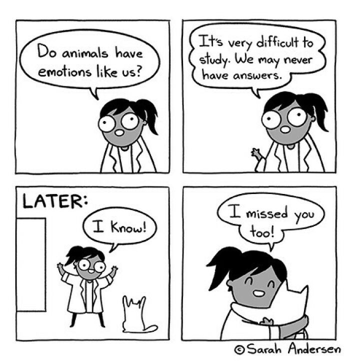 Comics About Life As An Introvert By Sarah Andersen