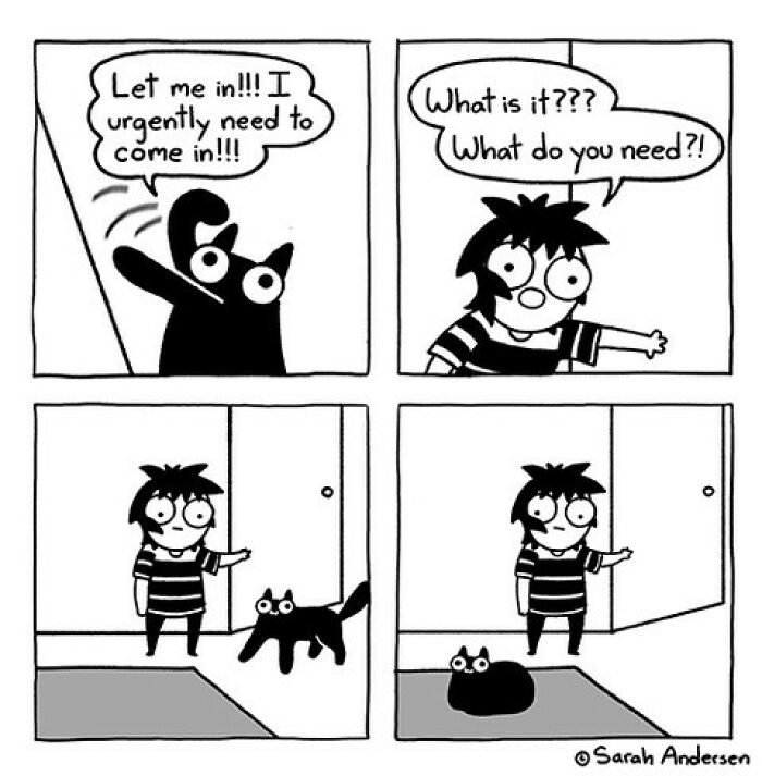 Comics About Life As An Introvert By Sarah Andersen