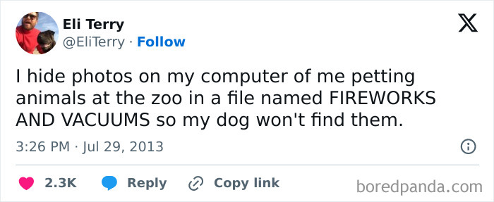 Funny-Tweets-About-Dogs