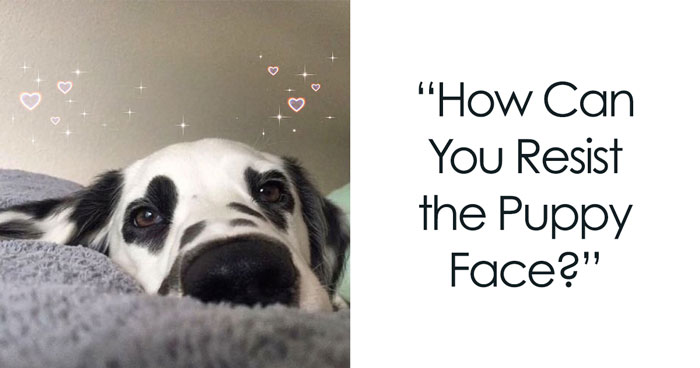 40 Love Memes To Share With Your Special Someone