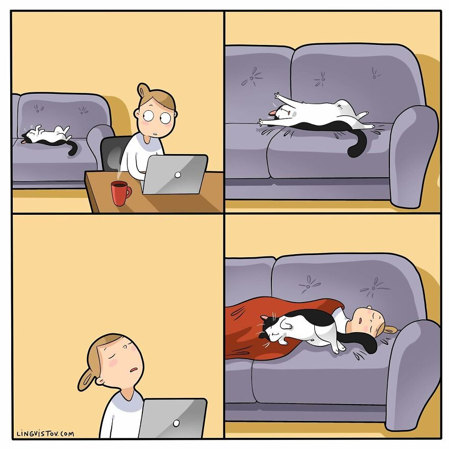 Artist Creates Funny Comics Capturing The Essence Of Living With A Cat (53 New Pics)