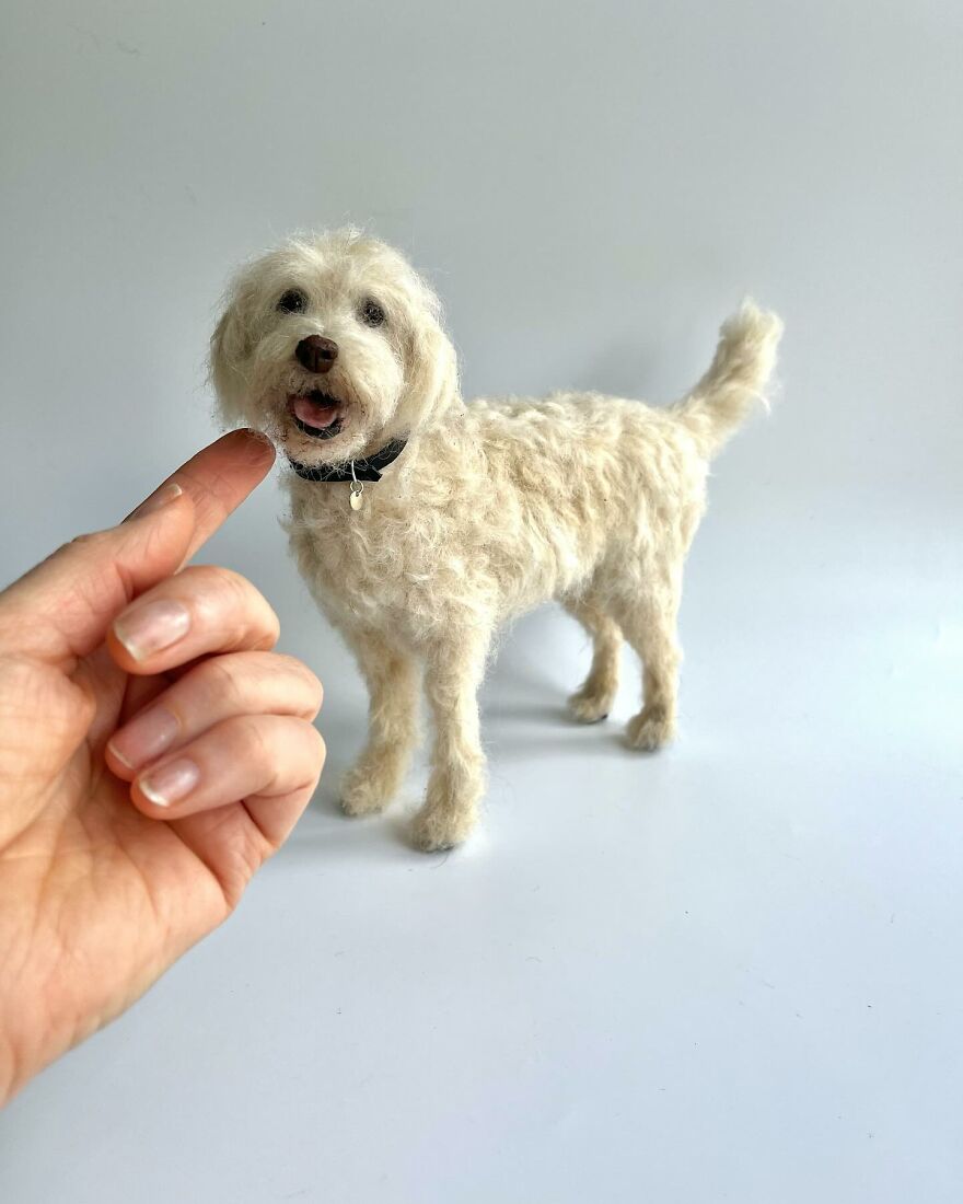 Needle-Felted Wonders: Curly Jo Hobbs Crafts Realistic Miniature Dogs And Donkeys