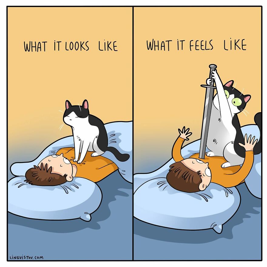 Artist Creates Funny Comics Capturing The Essence Of Living With A Cat (53 New Pics)