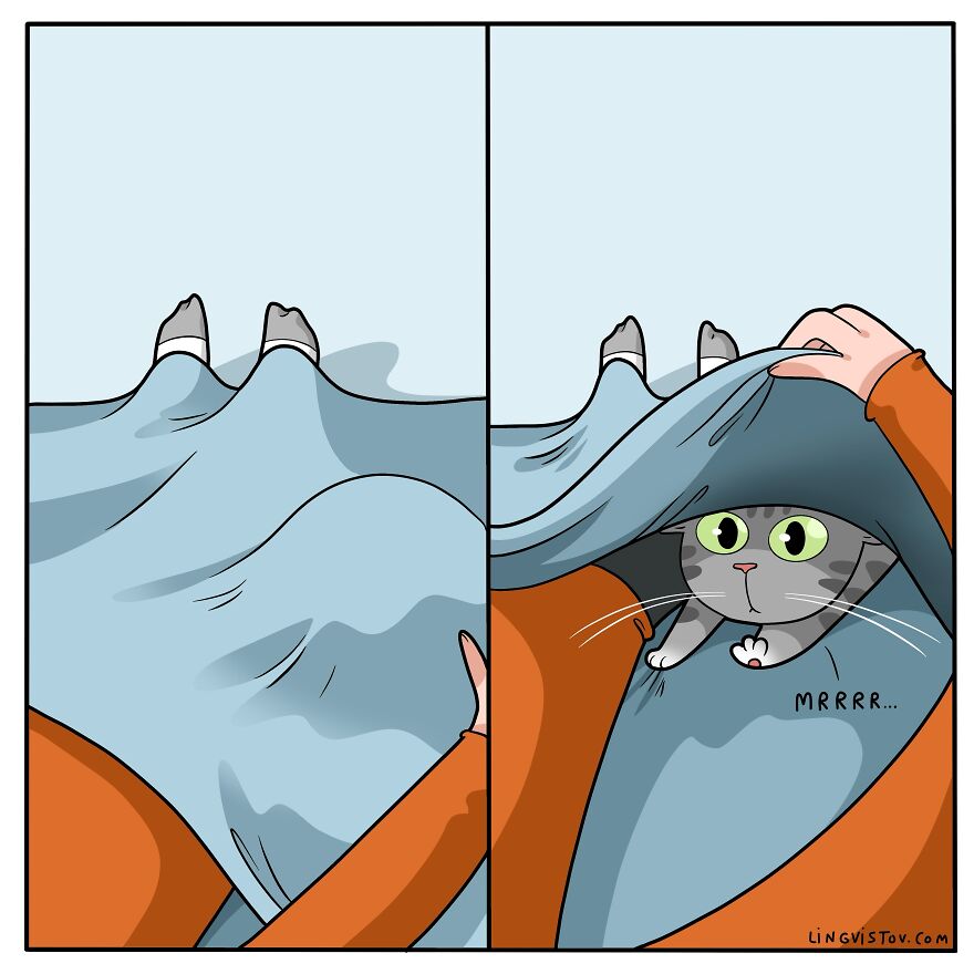 Artist Creates Funny Comics Capturing The Essence Of Living With A Cat (53 New Pics)