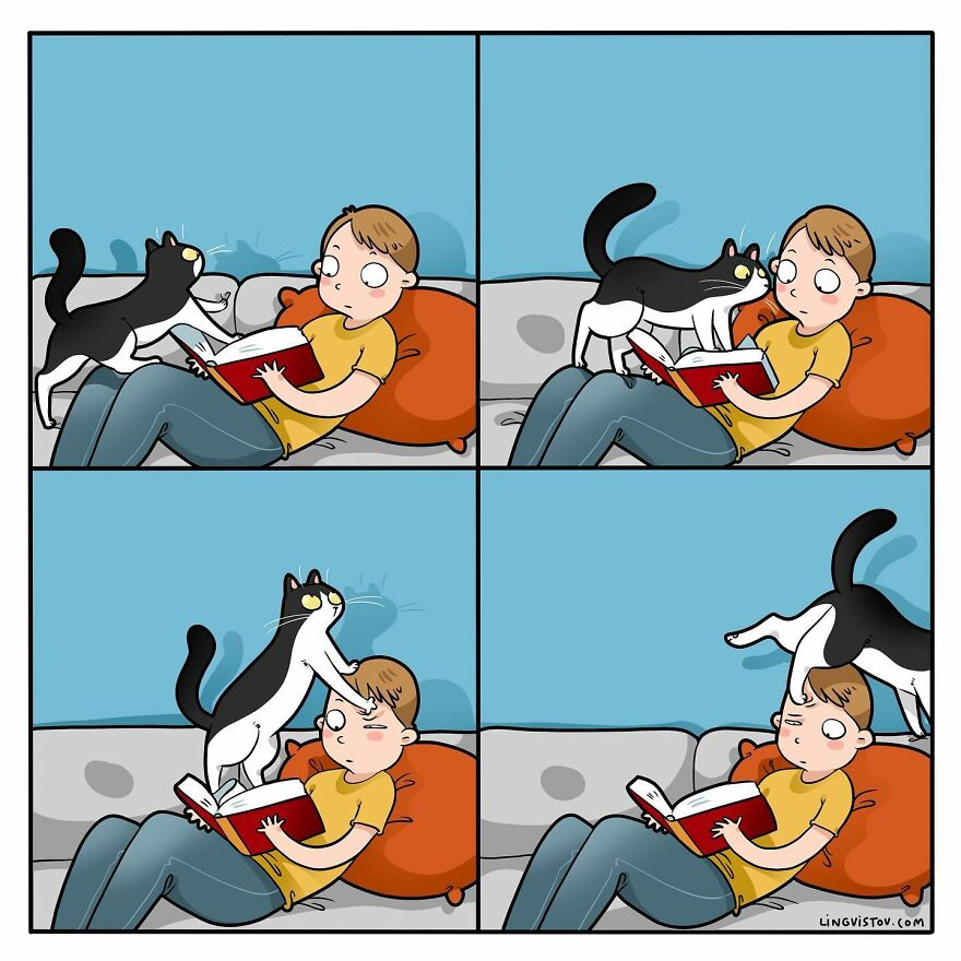 Artist Creates Funny Comics Capturing The Essence Of Living With A Cat (53 New Pics)