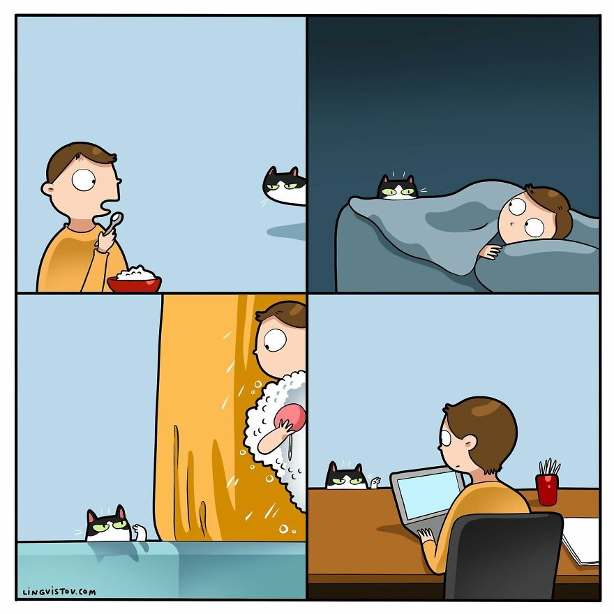 Artist Creates Funny Comics Capturing The Essence Of Living With A Cat (53 New Pics)