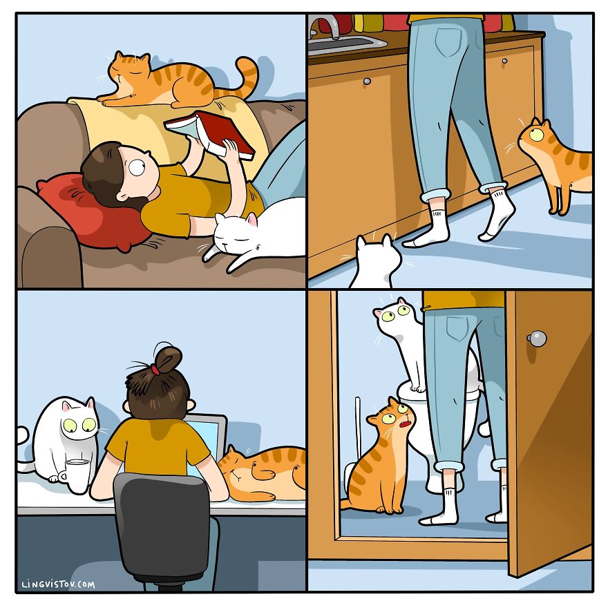 Artist Creates Funny Comics Capturing The Essence Of Living With A Cat (53 New Pics)