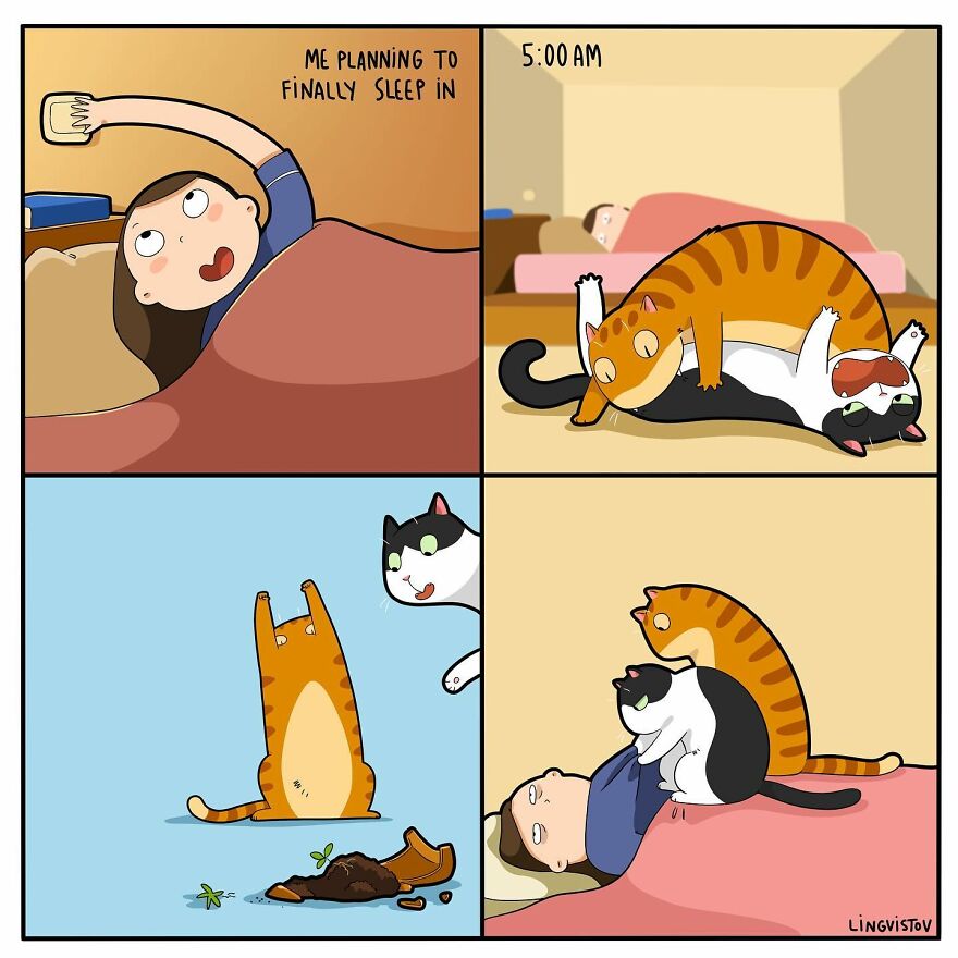 Artist Creates Funny Comics Capturing The Essence Of Living With A Cat (53 New Pics)