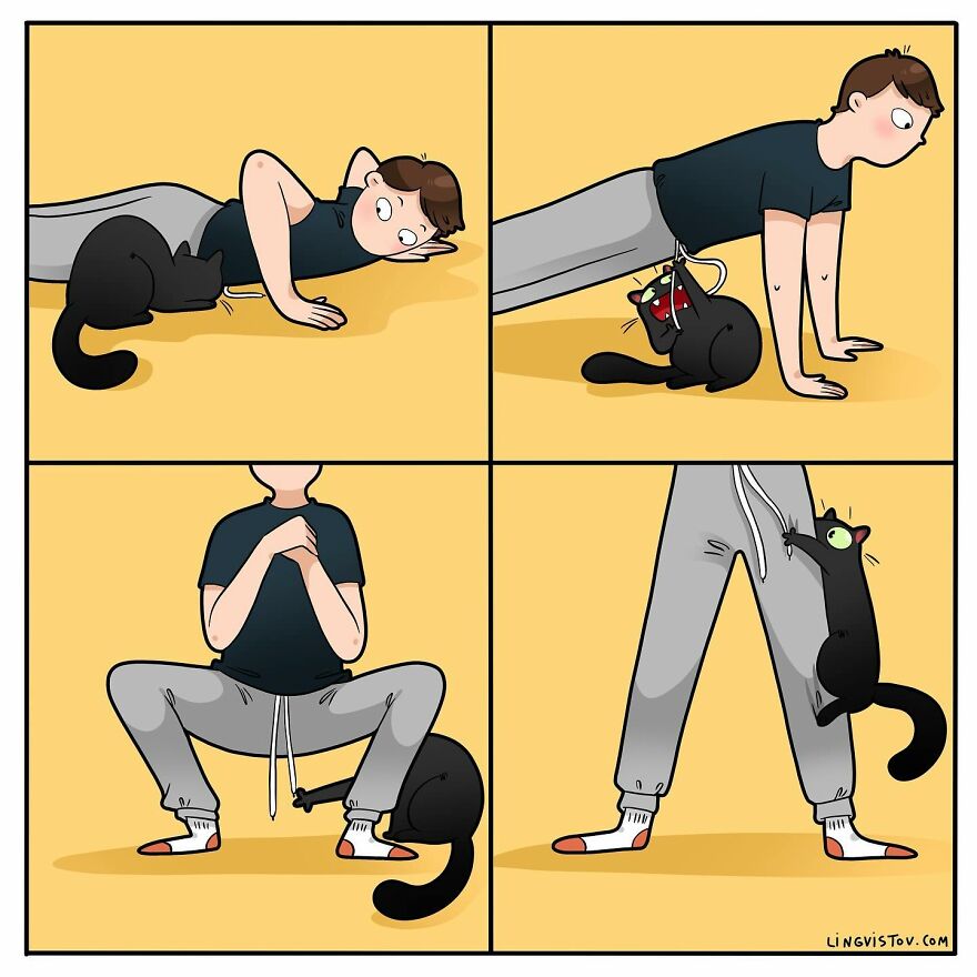 Artist Creates Funny Comics Capturing The Essence Of Living With A Cat (53 New Pics)