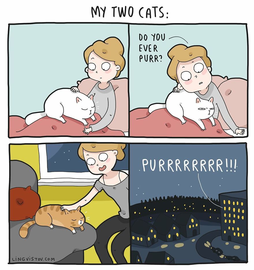 Artist Creates Funny Comics Capturing The Essence Of Living With A Cat (53 New Pics)