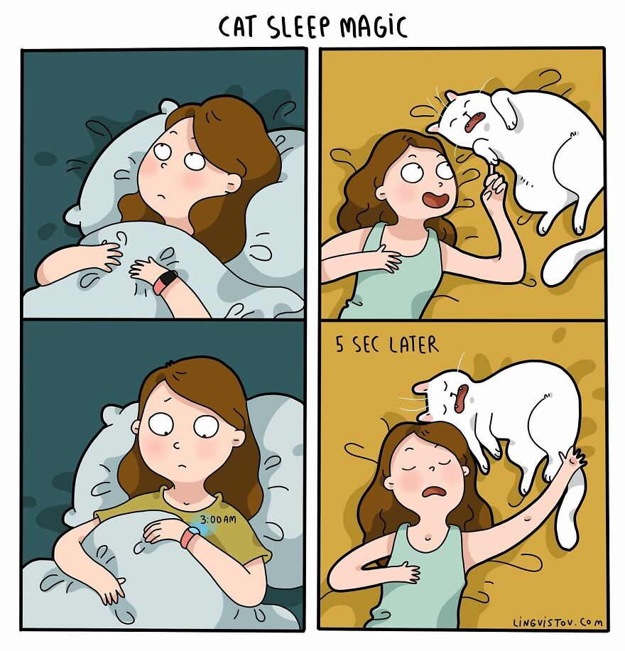 Artist Creates Funny Comics Capturing The Essence Of Living With A Cat (53 New Pics)