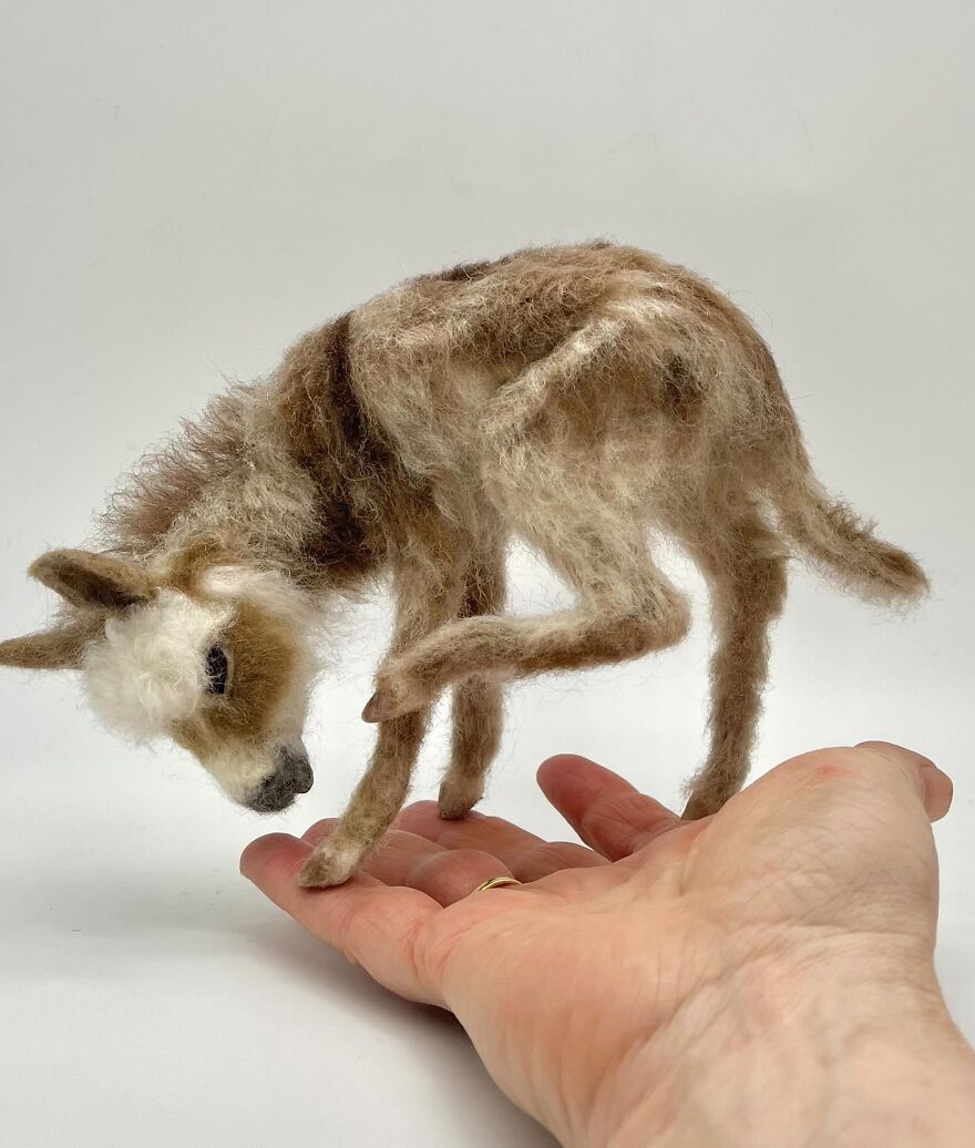 Needle-Felted Wonders: Curly Jo Hobbs Crafts Realistic Miniature Dogs And Donkeys