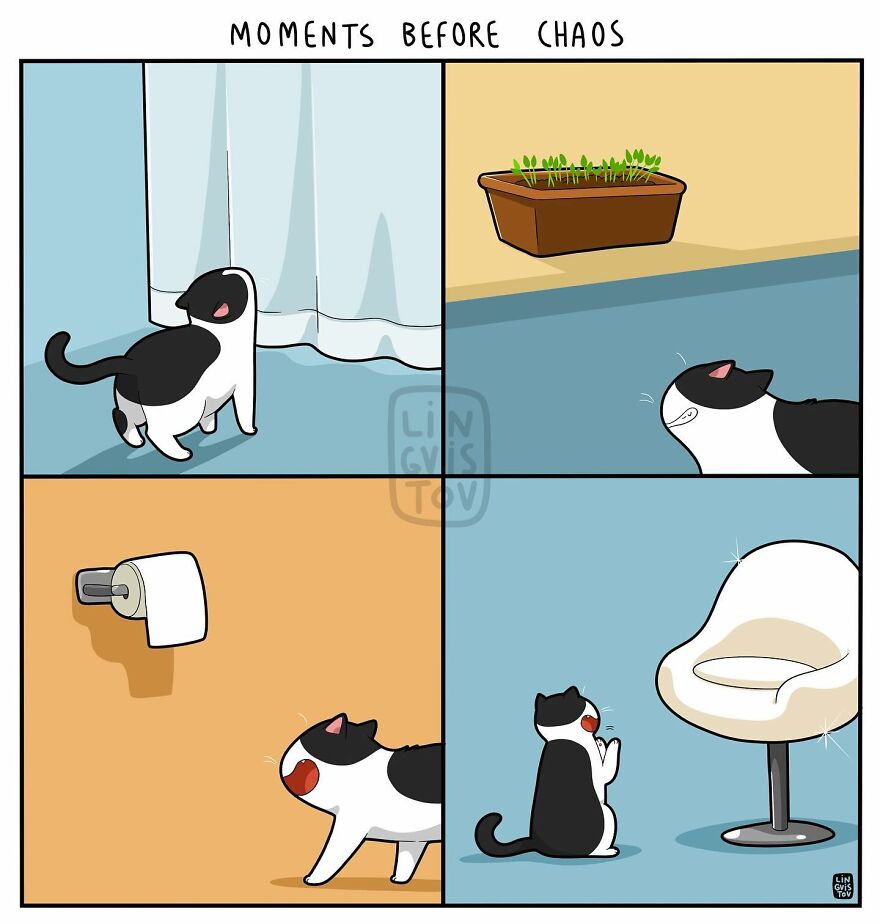 Artist Creates Funny Comics Capturing The Essence Of Living With A Cat (53 New Pics)