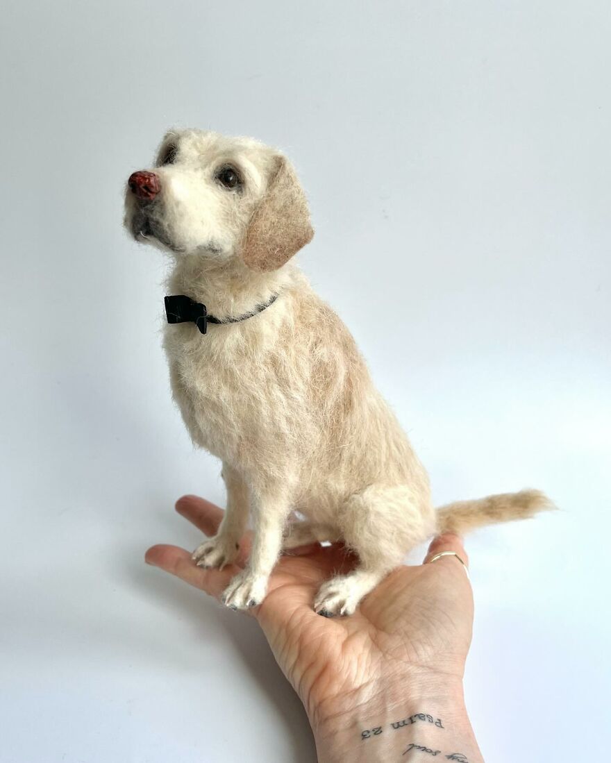 Needle-Felted Wonders: Curly Jo Hobbs Crafts Realistic Miniature Dogs And Donkeys