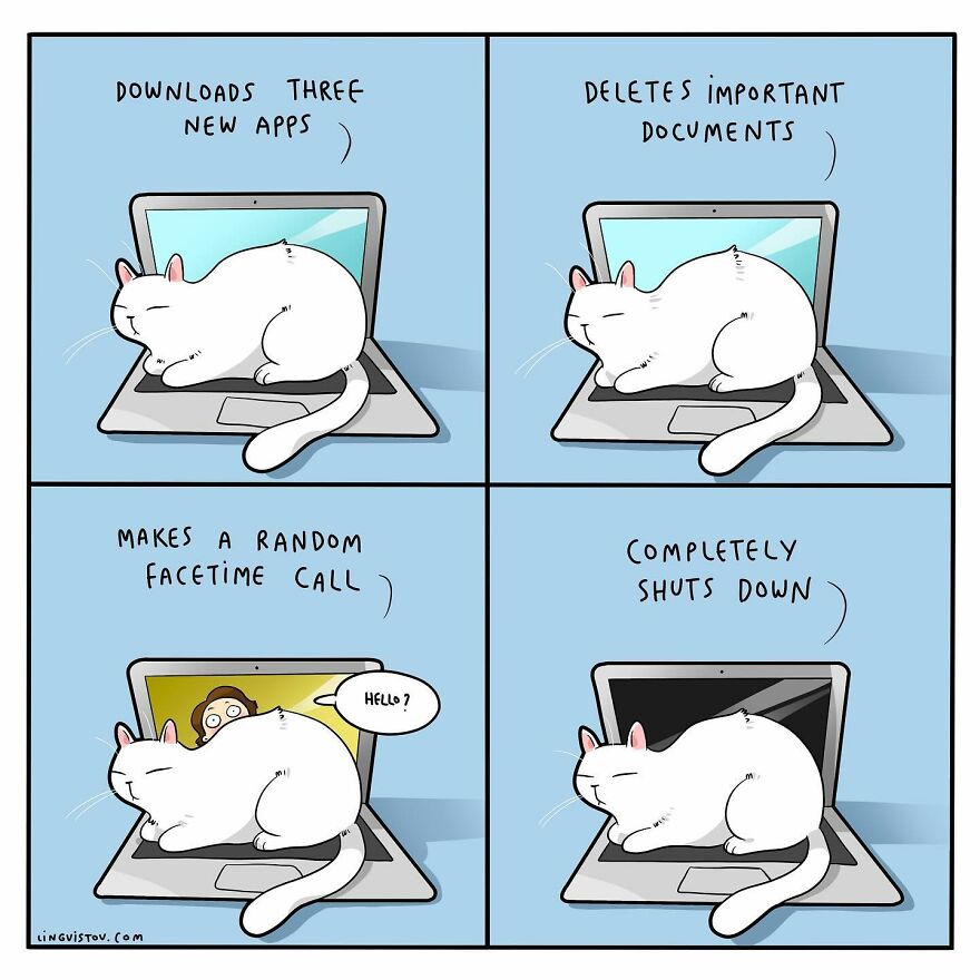 Artist Creates Funny Comics Capturing The Essence Of Living With A Cat (53 New Pics)