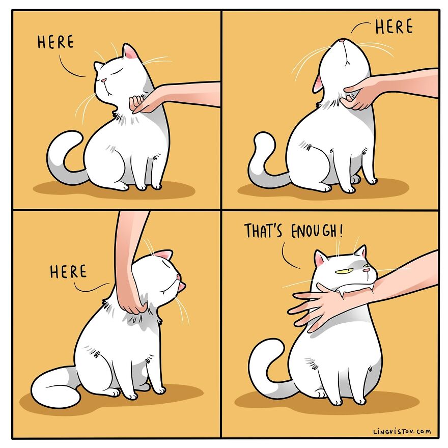 Artist Creates Funny Comics Capturing The Essence Of Living With A Cat (53 New Pics)