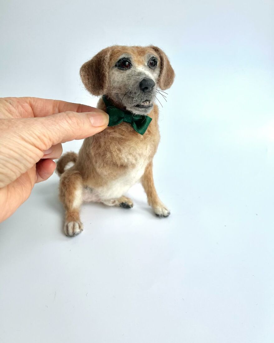 Needle-Felted Wonders: Curly Jo Hobbs Crafts Realistic Miniature Dogs And Donkeys