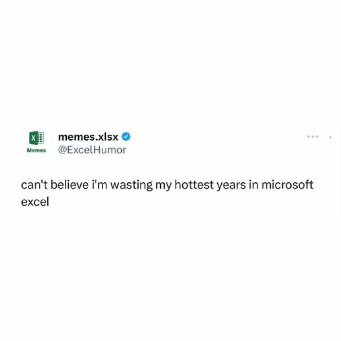 Hilarious-Excel-Memes