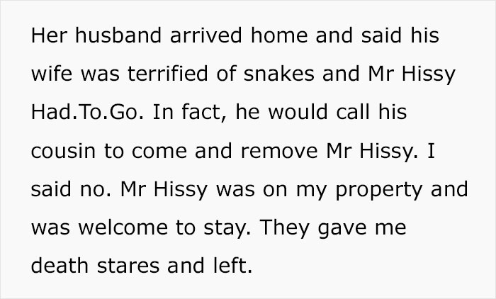 Python Lives Peacefully Under Woman’s House for Years, Neighbor Suddenly Insists on Removing It