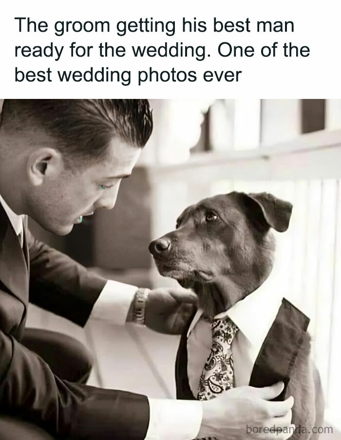 Incredible 😭😭 #dog #dogs #wedding #idratherbewithmydog