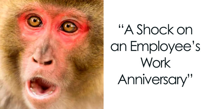 50 Hilarious Work Anniversary Memes That Hit Home