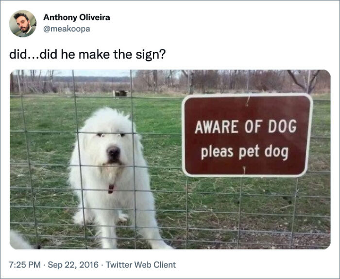 Funny-Tweets-About-Dogs