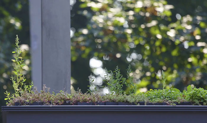 People Online Are Amazed By Dutch City That Recently Installed Over 300 Green-Roofed Bus Stops