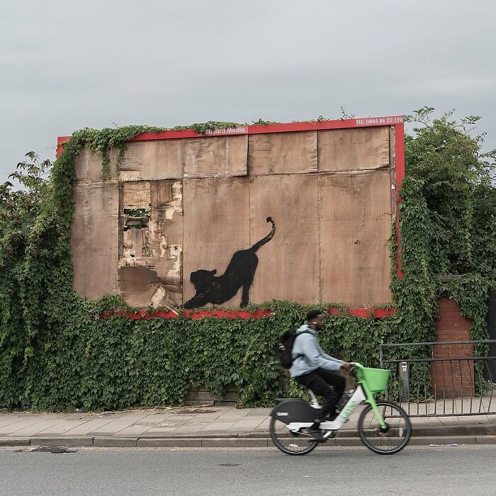 Banksy's "London Zoo": Nine New Graffiti Pieces Roar To Life In The Streets Of London