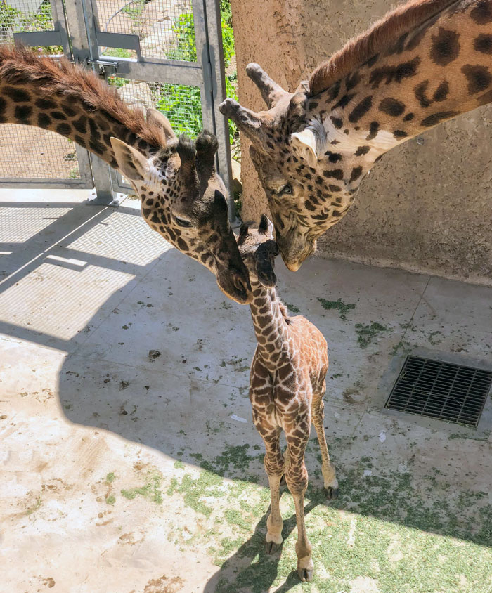 First Family Photo. Santa Barbara Zoo