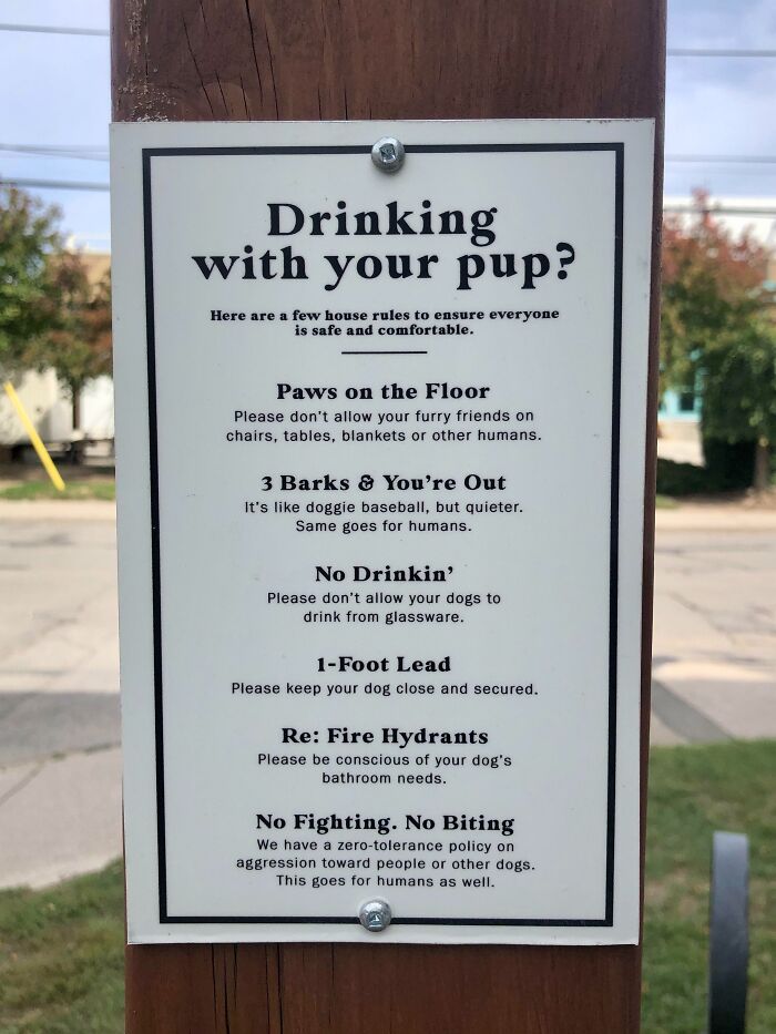 This Brewery Patio Has Rules For Dogs