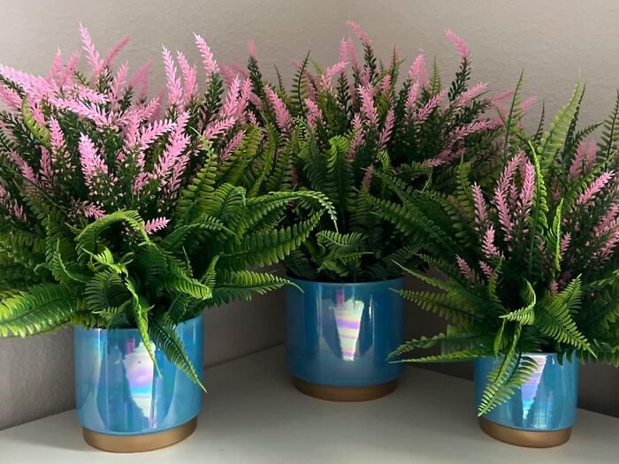 Give Your Plants The Mermaid Treatment With These Iridescent Ceramic Pots 