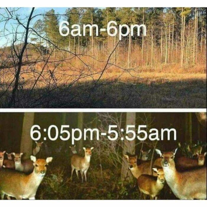 People Who Enjoy Being Outdoors Shared These 50 Relatable Memes On This Facebook Group