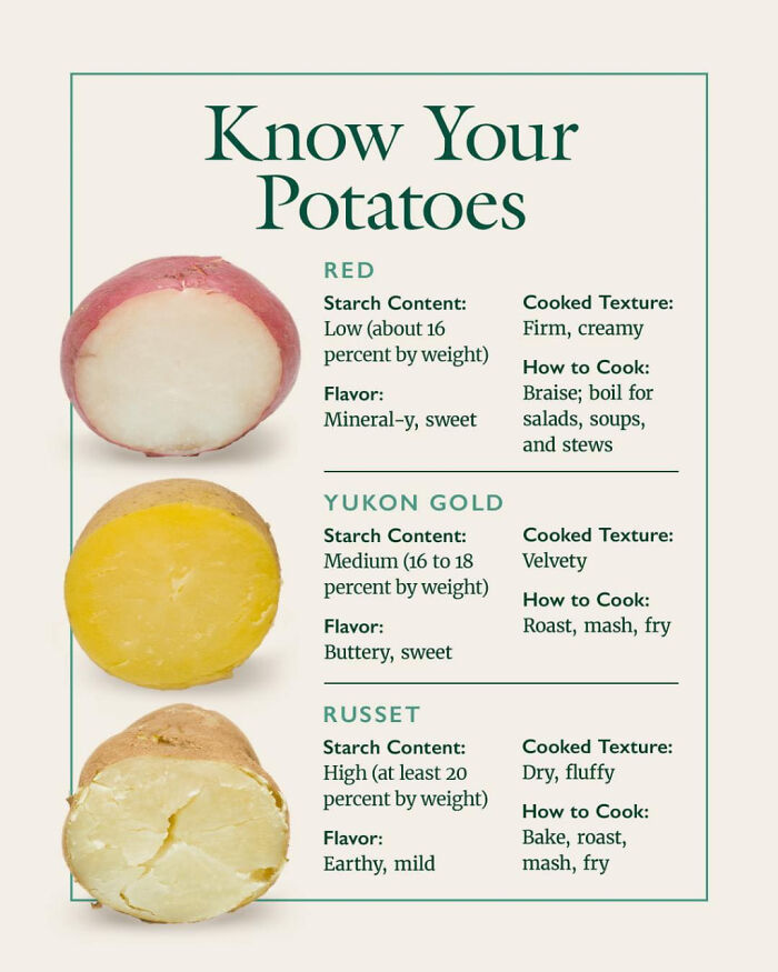 Cool Potato Guide For Beginners