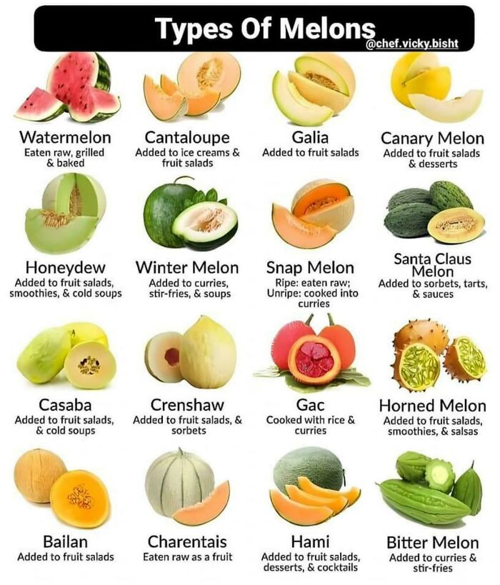 A Cool Guide To Melons