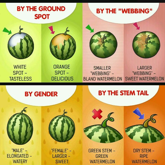 How To Pick The Right Watermelon