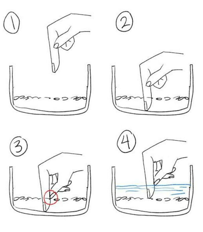 This Is How To Measure Rice (Asian Style)