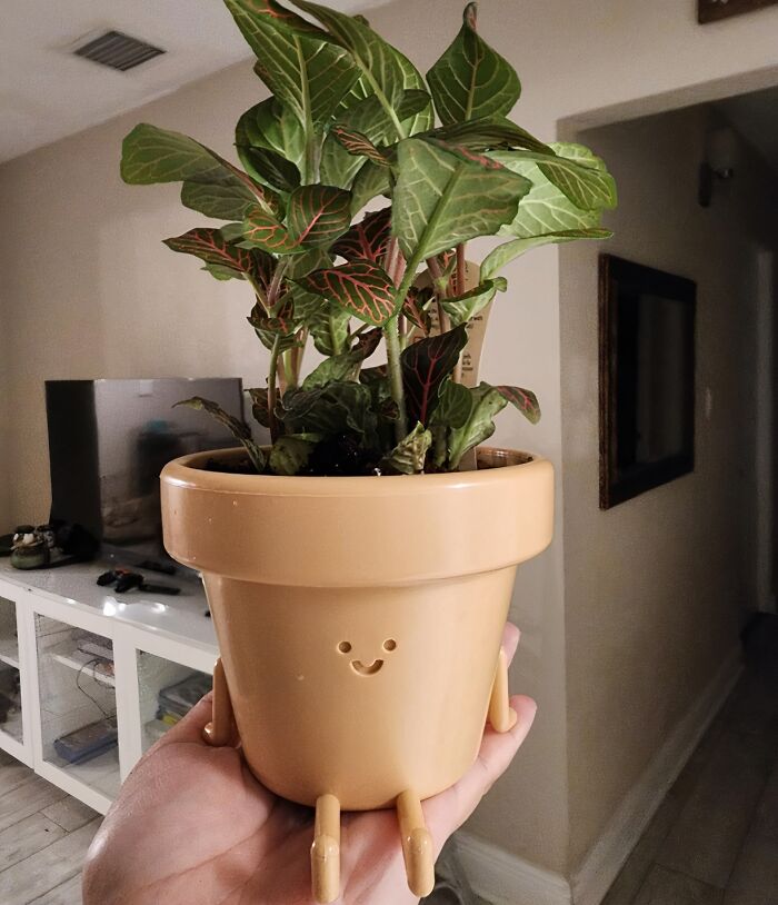  Earthlings Planter : Because Life Is Too Short For Boring Pots