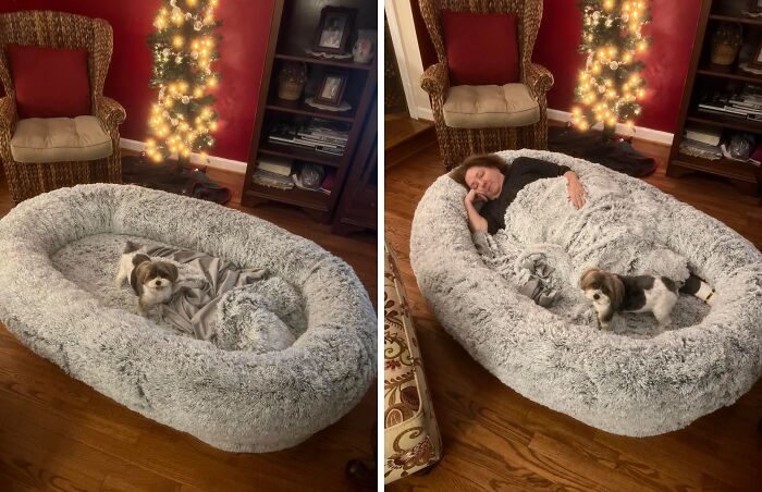 This Isn't Your Dog's Bed, It's Your New Favorite Napping Spot! The Human-Sized Big Dog Bed Is So Comfy, You Might Just Have To Fight Your Furry Friend For It