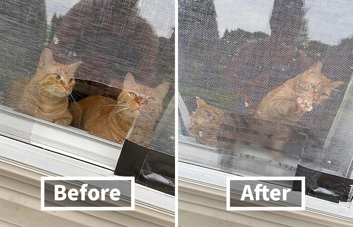 This Window Screen Repair Kit Tape Is The First Aid Kit Your Bug-Bitten Screens Have Been Waiting For, Patching Up Holes And Tears Faster Than You Can Say "Mosquito"