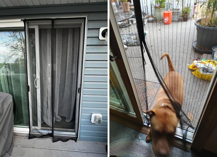 This Magnetic Screen Door Is The Hands-Free Bouncer Your Doorway Needs, Letting In The Fresh Air While Keeping Those Pesky Bugs Out (And Your Sanity Intact)