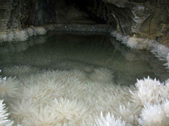 Esta piscina llena de cristales en la cueva Nettlebed, Nueva Zelanda. Está a cientos de metros bajo tierra, mucho más allá de donde la luz natural ha penetrado nunca.