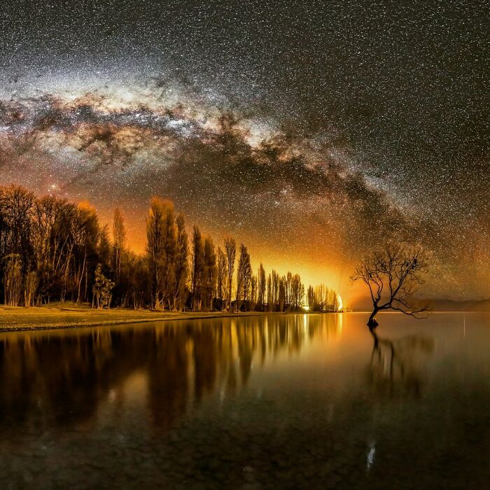 Un árbol solitario bajo la Vía Láctea en Wanaka, Nueva Zelanda. Por Mike Mackinven