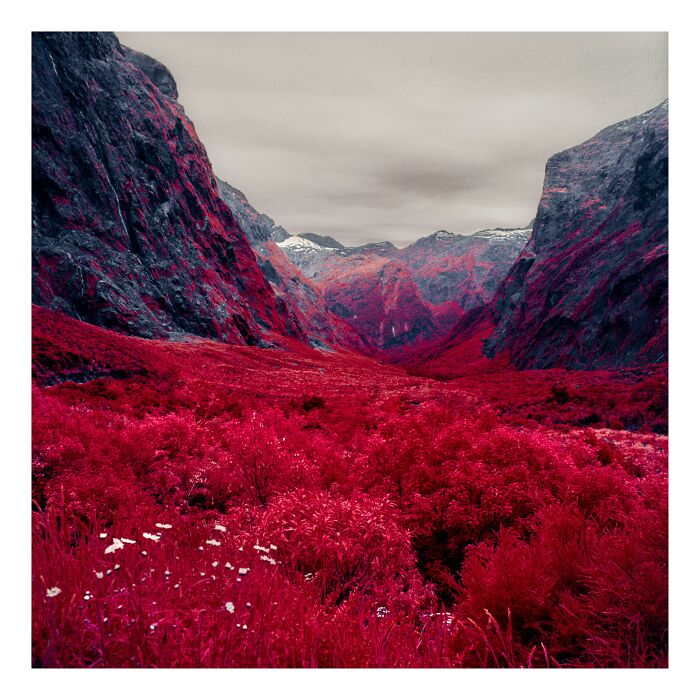 I Took Infrared Film To Milford Valley, New Zealand