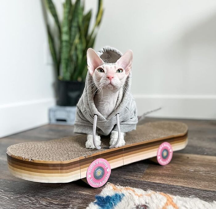 Your Cat's Claws Will Be Shredding This Cat Scratch Pad Skateboard, Not Your Sofa - It's A Win-Win For Everyone Involved