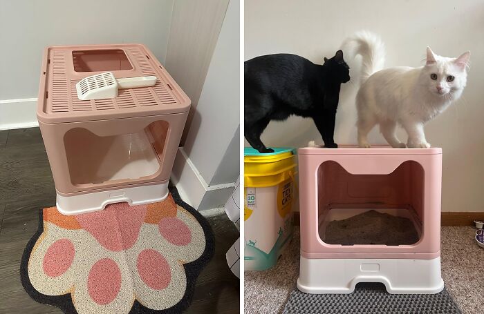  Foldable Cat Litter Box With Lid Is The Purr-Fect Solution For Small Spaces And Travel Adventures, Giving Your Feline Friend A Private And Portable Potty That's Easy To Clean And Store