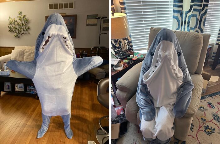 A Shark Blanket Hoodie Onesie Is The Ultimate Fusion Of Cozy Comfort And Playful Predator, Making You The Apex Snuggler Of Your Living Room