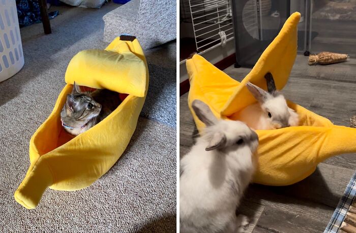 This Cute Banana Cat Bed House Is The Purr-Fectly Ripe Spot For Your Feline Friend To Curl Up And Dream Of Chasing Mice