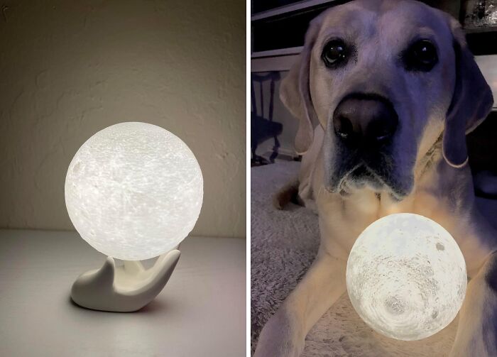 This 3D Moon Lamp With Ceramic Base Will Make Your Room Feel Like A Lunar Landing Site, Minus The Spacesuit And Zero Gravity