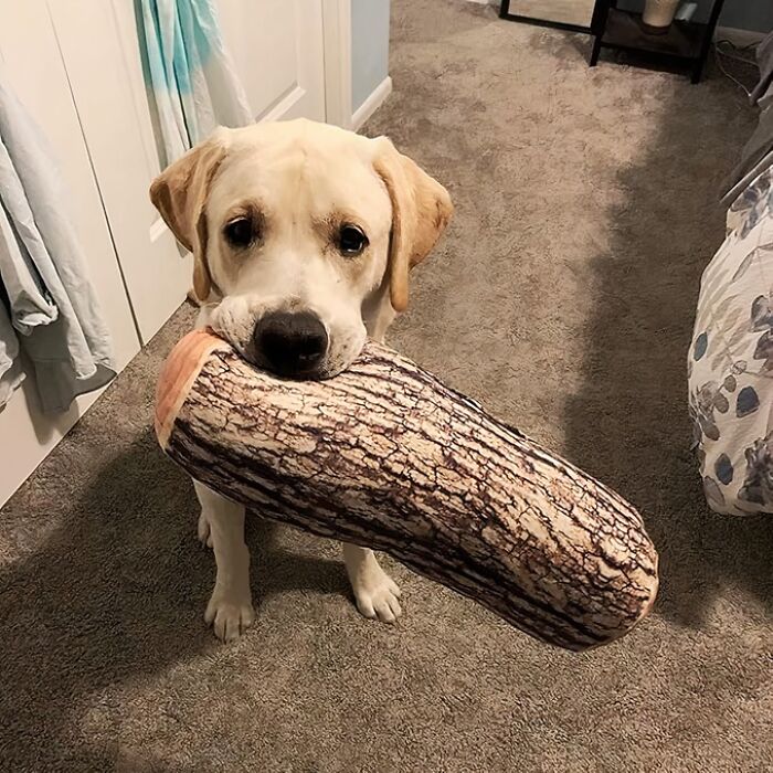 A Decorative Wood Log Shape Throw Pillow Brings The Outdoors In, Without The Pesky Bugs And Splinters