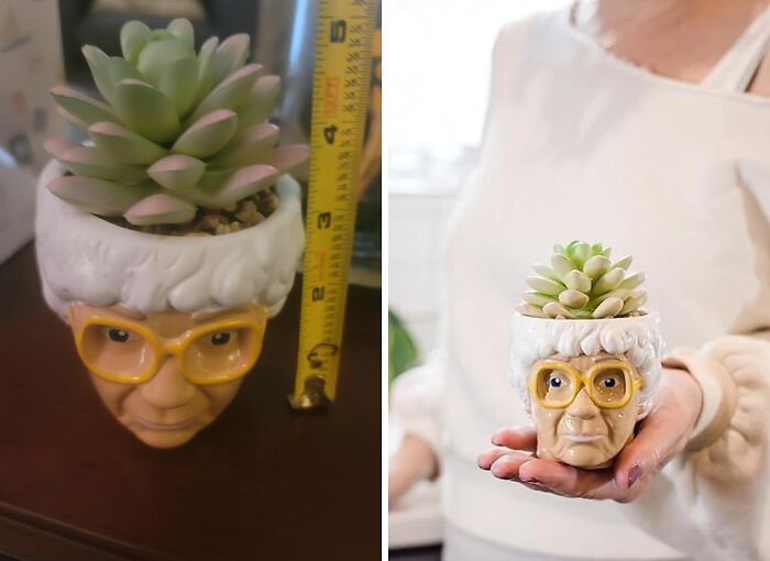 A Golden Girls Sophia Planter Is A Sassy Addition To Your Plant Collection, Ready To Dispense Wisdom (And Maybe A Few Sarcastic Remarks) Alongside Your Succulents